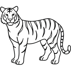 Cartoon tiger vector illustration, wild animals silhouette in black and white