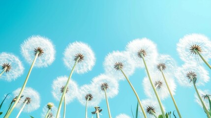 Dandelion with seeds being blown away by wind, against background of green grass and blue sky.