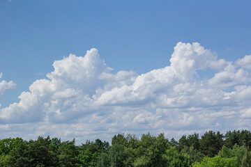 clouds over the forest in late summer