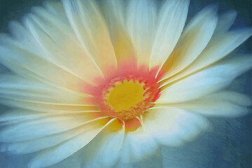 Obraz premium Blurry Flowers vintage backgrounds
