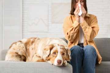 Dog and young woman with allergy to fur at home