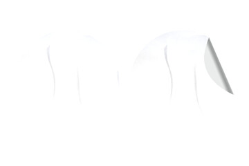 Blank Round Paper Sticker Texture for Mock up 
