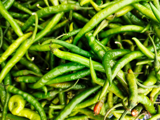A pile of green chilly open sell in Indian market.