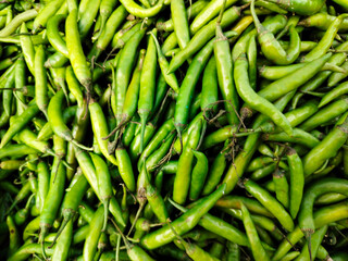 A pile of green chilly open sell in Indian market.
