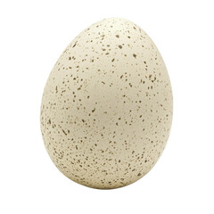 Beautifully Textured Speckled Egg with Transparent Background