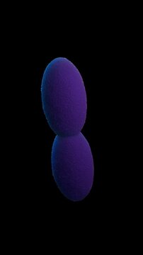 Acetobacter is a genus of aerobic, Gram-negative bacteria best known for converting ethanol to acetic acid, making them vital for vinegar production but also potential spoilage agents in other alcohol