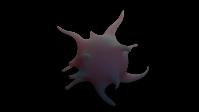 Activated platelets are blood cells that have undergone a rapid change in shape and surface properties in response to injury or signals of blood vessel damage