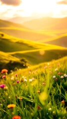 Fototapeta premium Sunset Over Rolling Hills with Wildflowers