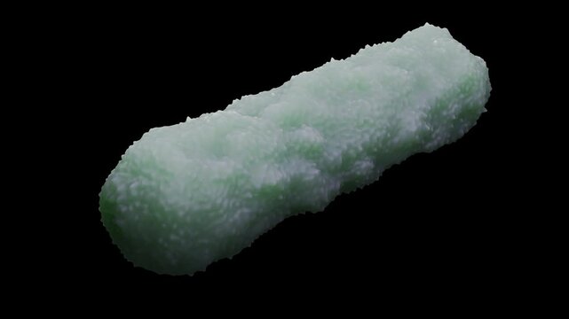 Escherichia coli is a gram-negative, facultative anaerobic, rod-shaped, coliform bacterium of the genus Escherichia that is commonly found in the lower intestine of warm-blooded organisms.