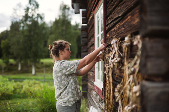 Side view of woman hanging garlic bunch on wooden wall in back yard