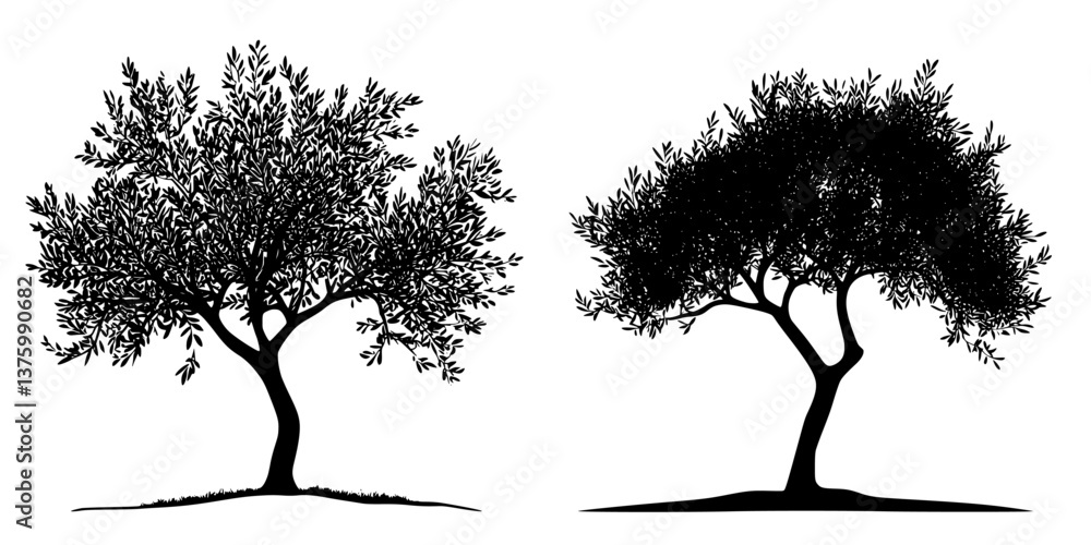 Poster two distinct silhouettes of trees showcasing different shapes and foliage patterns against a simple 