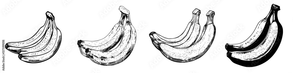 Poster different stages of bananas showing ripening process in a simple and artistic depiction