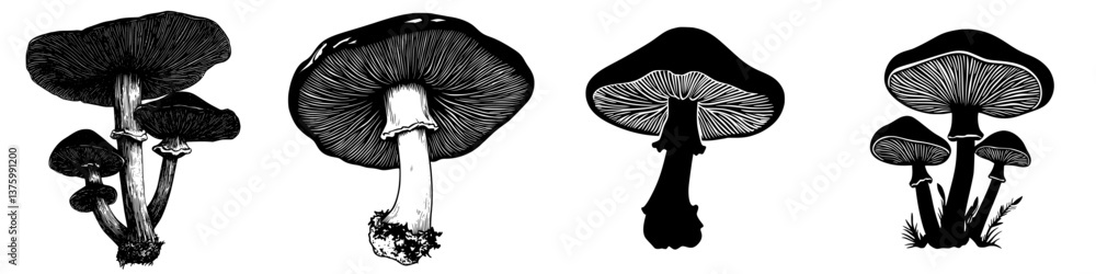 Poster different types of mushrooms displayed in a black and white illustration showcasing their unique sha