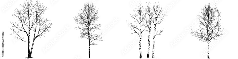 Poster collection of various tree silhouettes showcasing different shapes and structures in a monochrome st