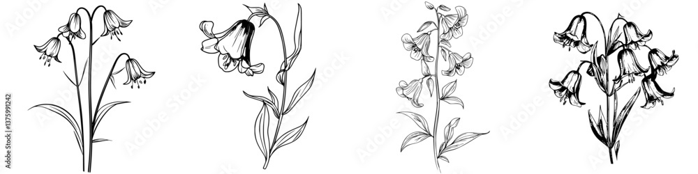 Poster detailed sketches of various bell-shaped flowers showcasing unique structures and forms in black and