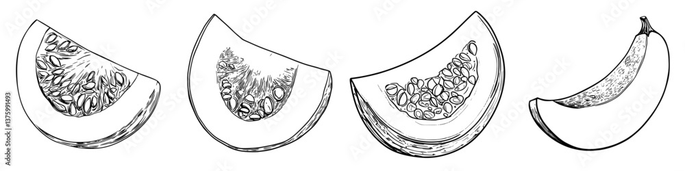Aufkleber slices of melons and a banana displayed in a detailed sketch, emphasizing their textures and shapes