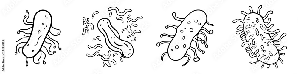 Poster different types of bacteria illustrated in a scientific style depicting their unique shapes and stru