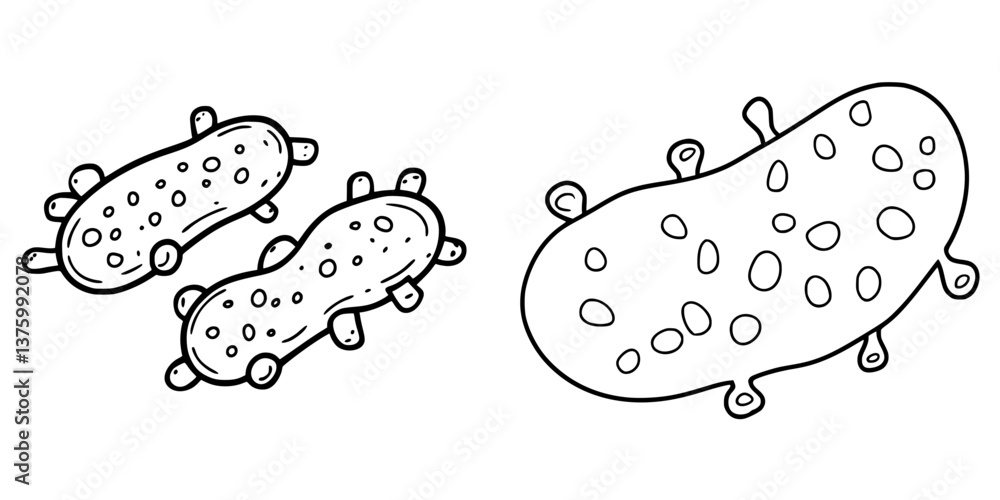 Poster microorganisms depicted in a minimalist style illustrate their unique shapes and features in a scien