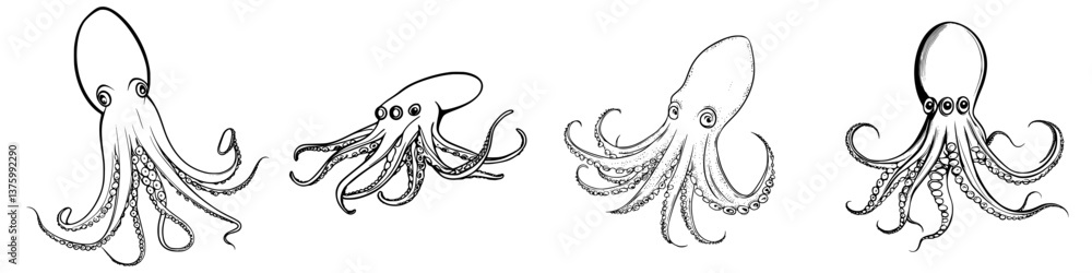 Poster various types of octopuses displayed in a black and white illustration highlighting their unique fea
