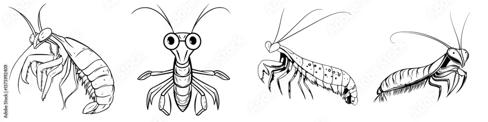 Poster detailed sketches of various crustaceans showcasing unique features and characteristics