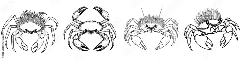 Aufkleber illustrations of various crab species showing diverse features and characteristics in a simple desig