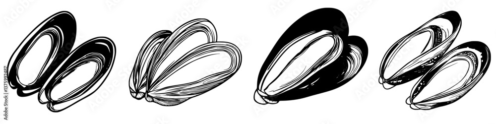 Poster drawing of various clam shells showcasing unique shapes and textures on a plain background