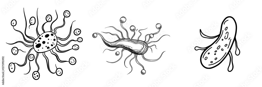 Poster bacteria illustrations showcasing unique structures and features with distinct shapes and appendages