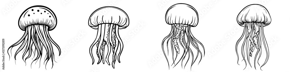 Poster illustrations of jellyfish showcasing unique forms and tentacle patterns from different angles in a 