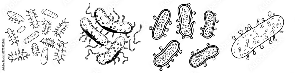 Poster illustration of various types of bacteria showcasing different shapes and structures in a scientific