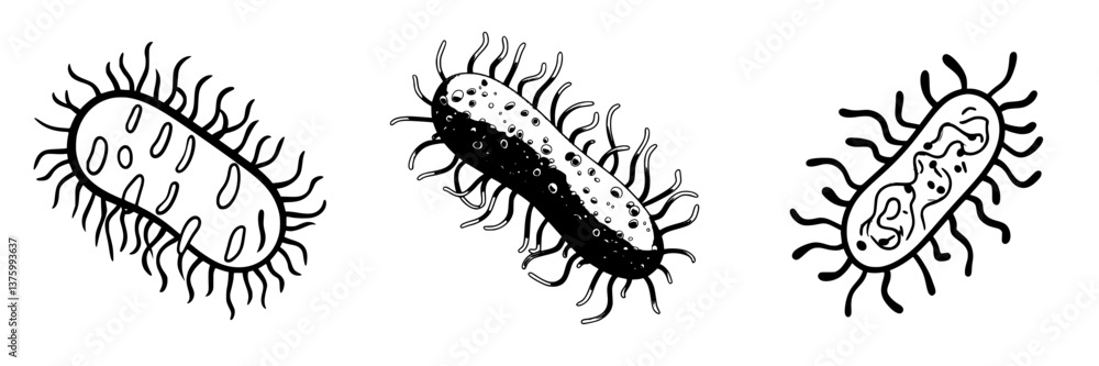 Poster microbial organisms under a microscope displaying varying shapes and structures with fine details an
