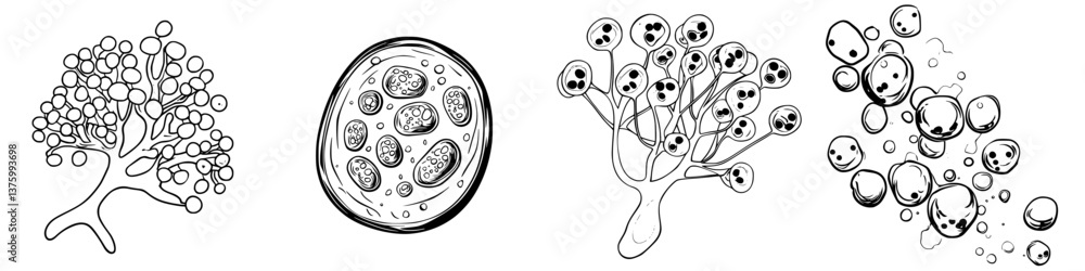 Poster illustrations of various tree structures and cellular forms showcasing nature's diversity and in