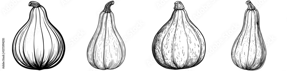 Poster various sizes and shapes of squashes displayed in a rustic setting during autumn harvest season