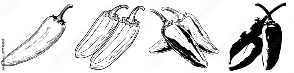 Poster chili peppers displayed in various illustrations showcasing different types and styles
