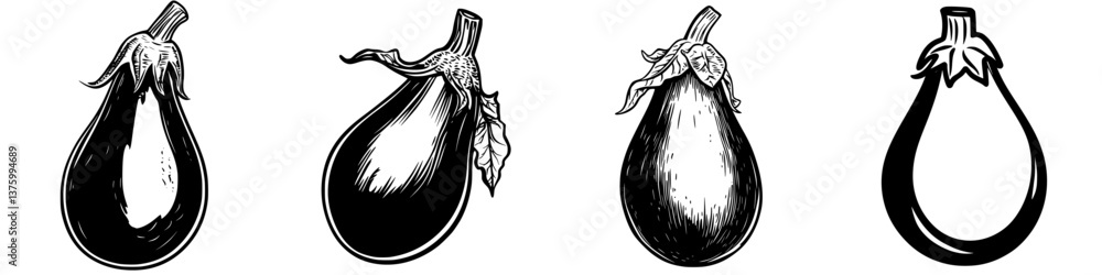 Poster different styles of eggplant illustrations highlighting various shapes and features in a simple blac