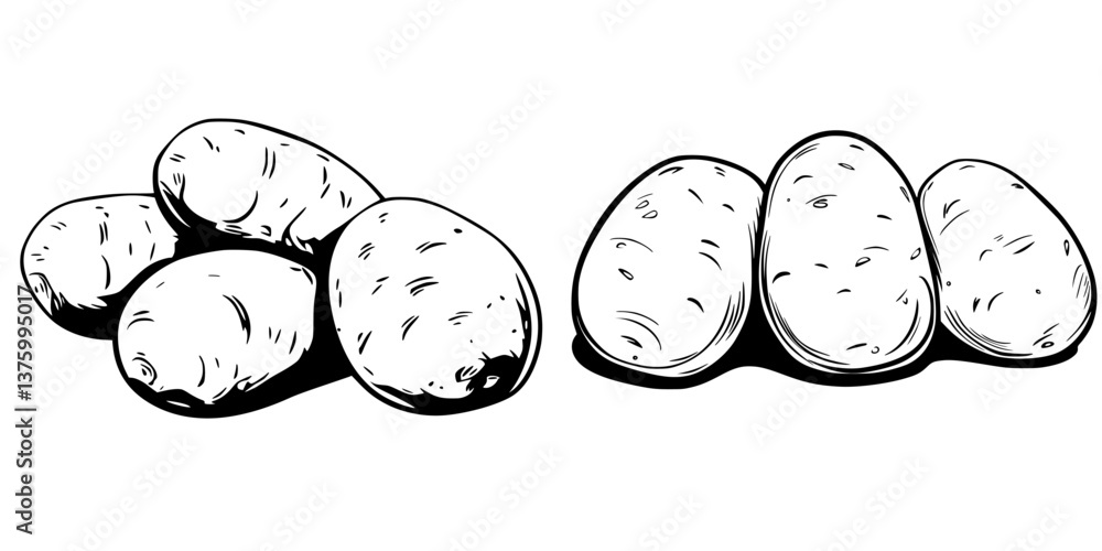Poster different varieties of potatoes arranged prominently on a plain background showcasing their unique s