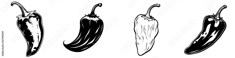 Poster diverse types of peppers displayed on a white background showcasing their unique shapes and textures