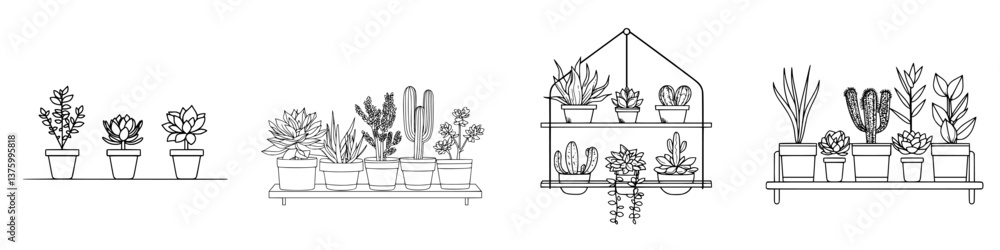 Poster elegant display of various succulent plants arranged on shelves in a modern setting with minimalisti