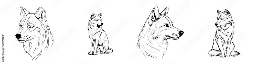 Poster various detailed sketches of wolves showcasing different poses and expressions in a simple black and