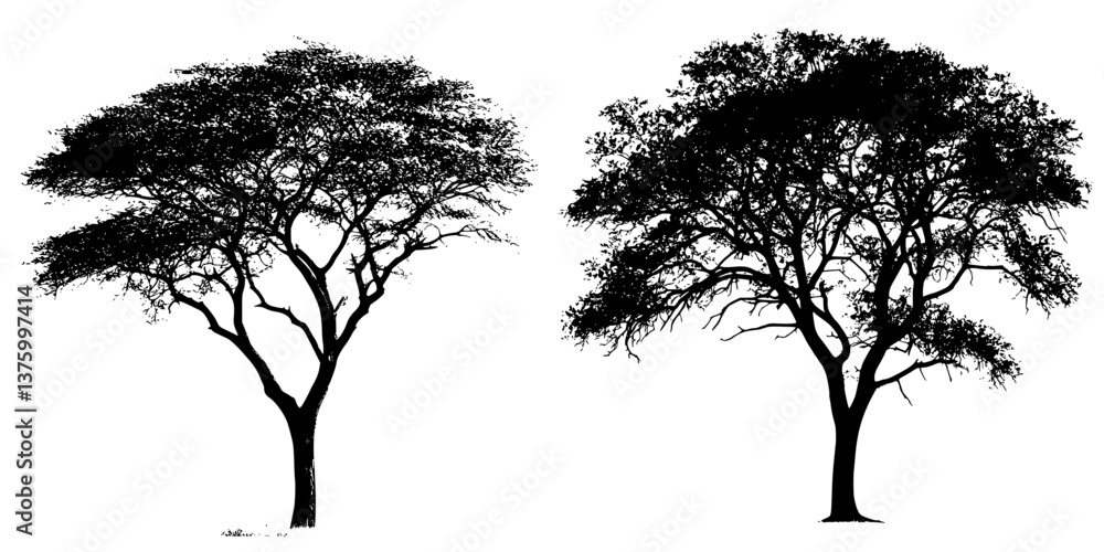 Poster silhouetted trees displaying intricate branch structures against a light background