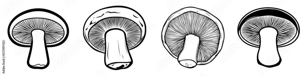 Poster various types of mushrooms displayed in black and white line art showcasing distinct features and te