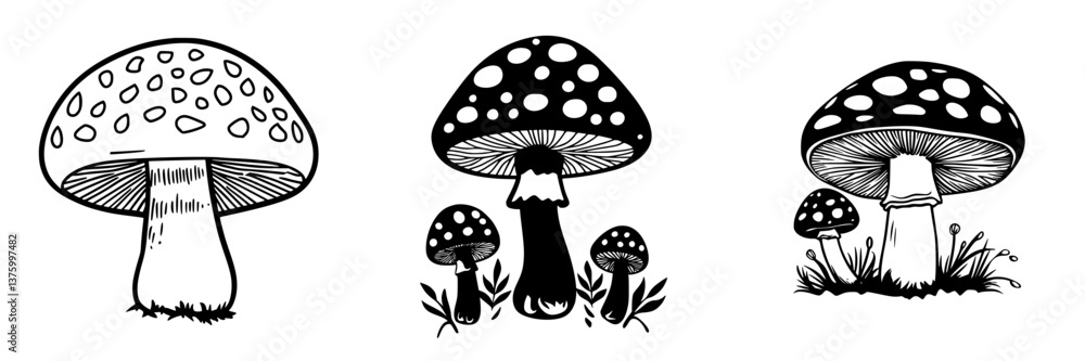 Poster unique illustrations of various mushrooms featuring distinct shapes and patterns, suitable for natur