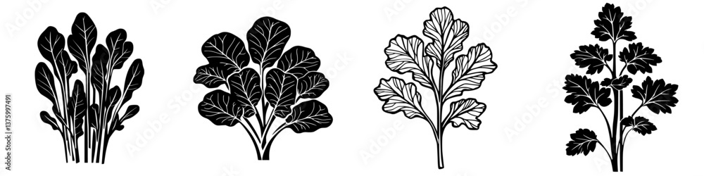 Poster various leafy greens on display showcasing different shapes and textures in a simple, black and whit