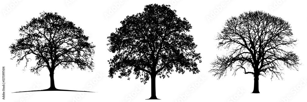 Poster silhouettes of three distinct trees showcasing varying levels of foliage and structure in nature