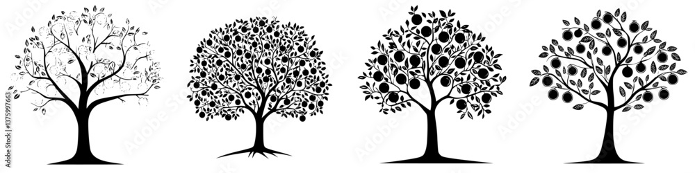 Poster different stages of tree life cycle represented in black and white illustrations displaying growth a