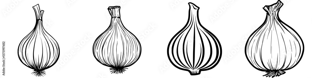 Poster unique hand-drawn illustrations of onions showcasing different shapes and sizes in a sketch style