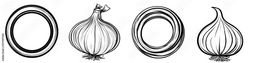 Poster different shapes of onions displayed in illustrative style on a plain background highlighting their 