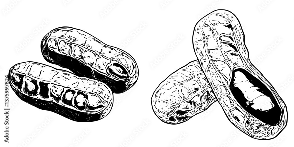 Poster peanuts in shells resting against each other on a plain background showcasing their natural texture 