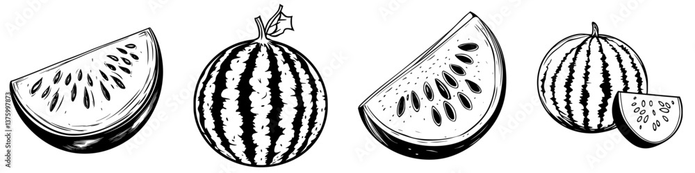Poster watermelons of various sizes and slices displayed in simple black and white illustration showing the