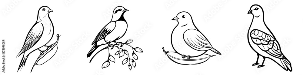 Poster various bird illustrations showcasing different species perched on branches and objects