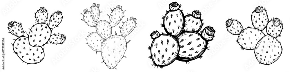 Poster detailed sketches of prickly pear cacti in various orientations and styles against a plain backgroun